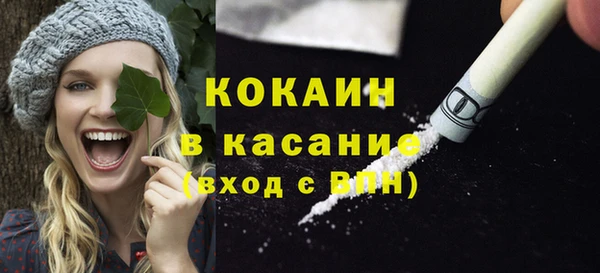 шишки Армянск
